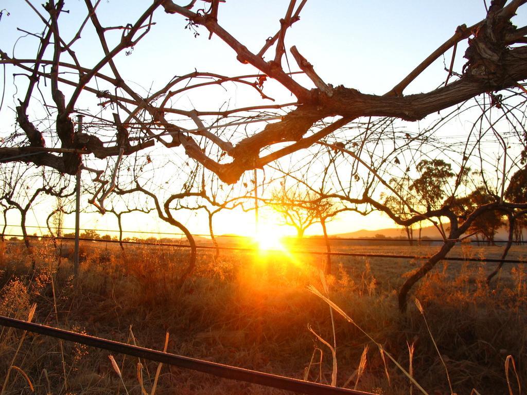 Ridgemill Estate Stanthorpe Quarto foto